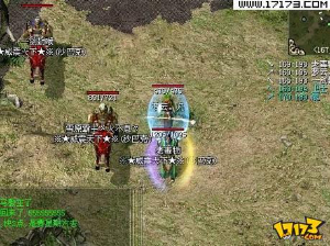国服传奇对比韩服传奇道士职业技能对比